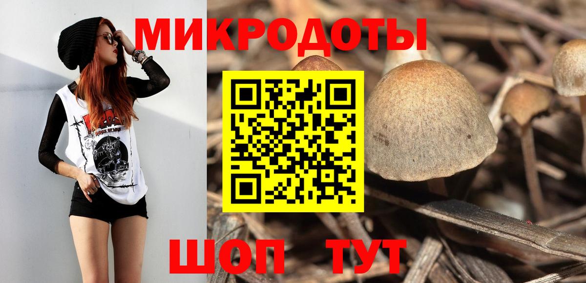 Новый Уренгой  Псилоцибиновые грибы прущие грибы  Вход с VPN 